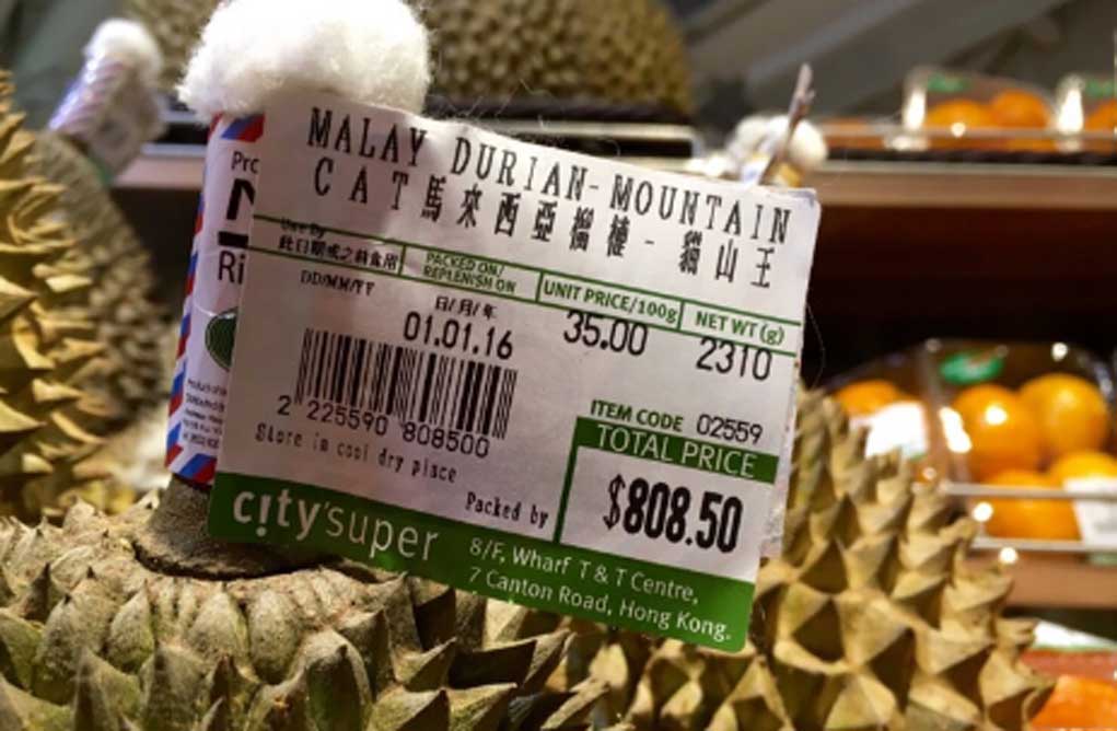 Malaysia Ingin Kalahkan Ekspor Durian Thailand. Bagaimana Dengan Durian Indonesia?
