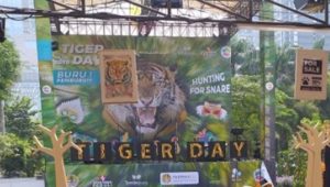 Mengenal Peringatan Hari Harimau Sedunia di Indonesia