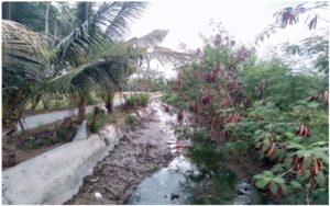 Legenda Sungai Kuruk Keramat Datuk Siddik Di Pantai Labu Lubuk Pakam Sumatera Utara
